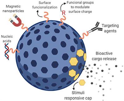 Frontiers | Nanoscale Drug Delivery Systems: From Medicine To Agriculture